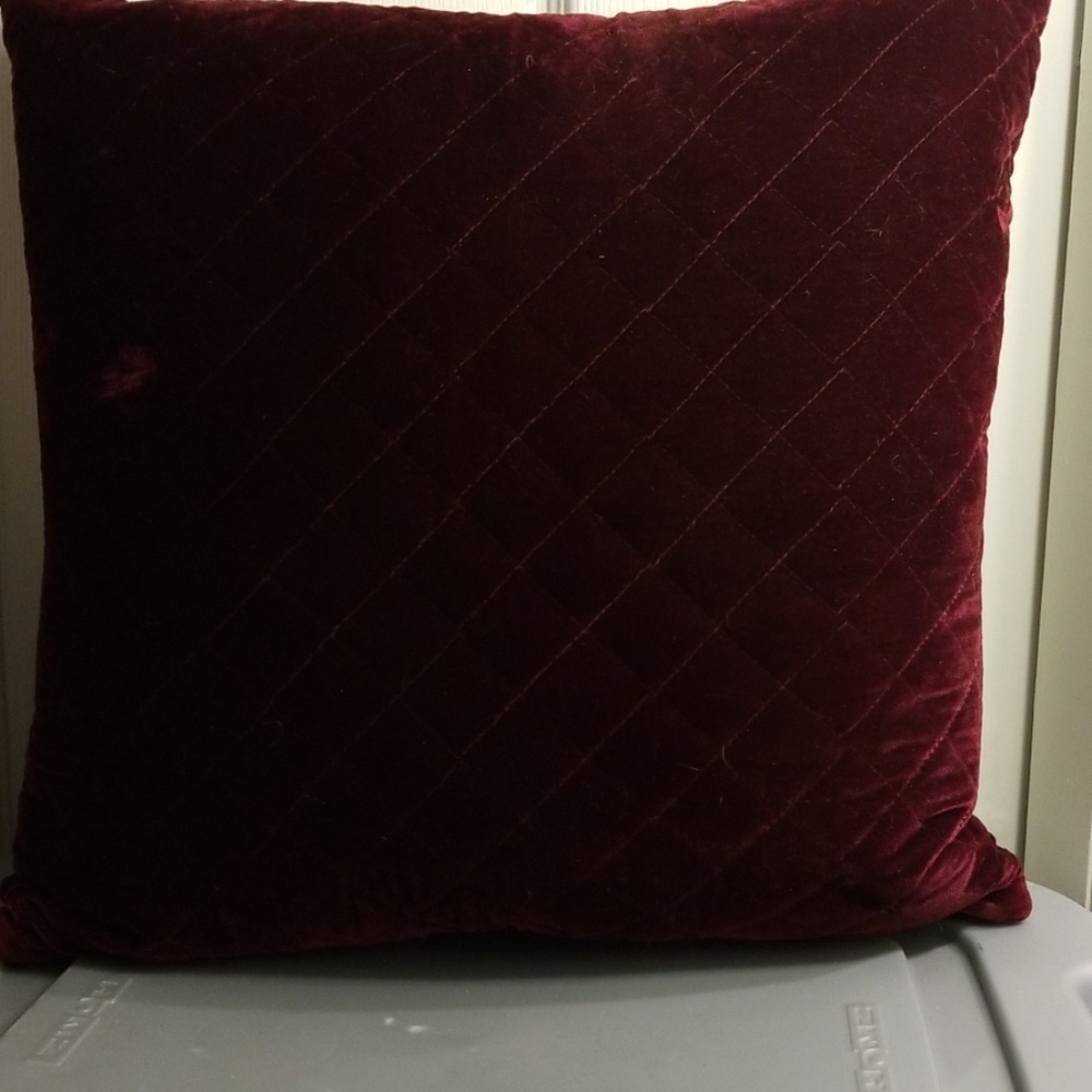 Beautiful Velvet Throw Pillow - Picture 1 of 2